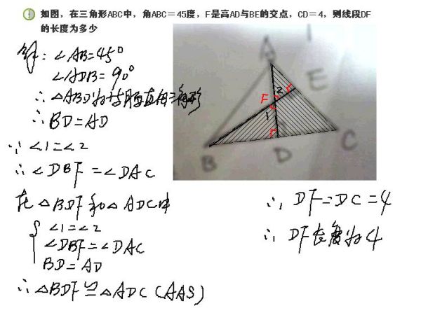 澳门管家一肖一码一开，详细解答、详细解答解释落实